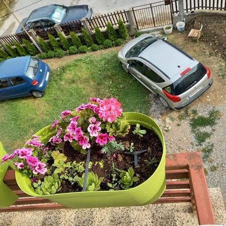 Apartmants Djekovi Ohrid Esterno foto